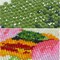 Diamond Painting Kits for Adults Beach Diamond Art Kits for Kids Beginner DIY 5D Full Drill Crystal Rhinestone Arts and Crafts Gem Art Painting with Diamonds Dots Home Wall Decor 11.8x15.7inch